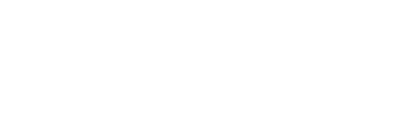 DSV